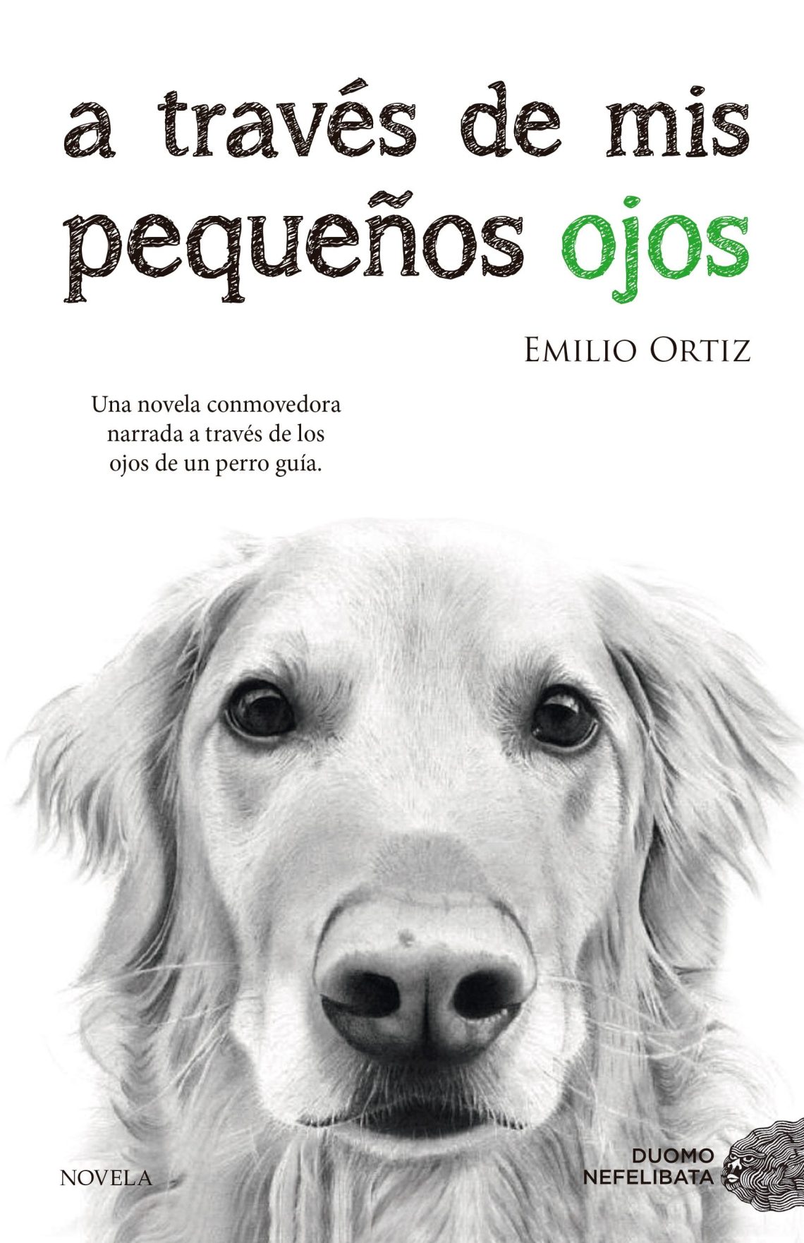 pequeños ojos.jpg